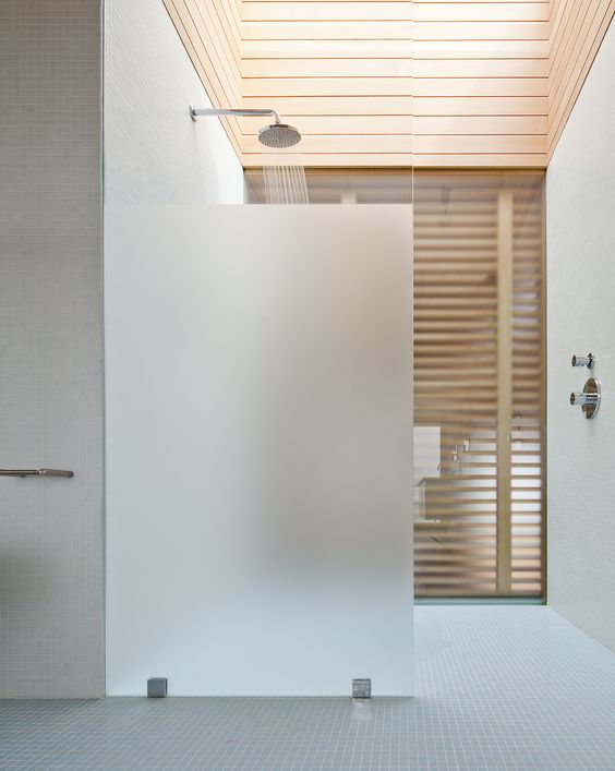 translucent shower glass door